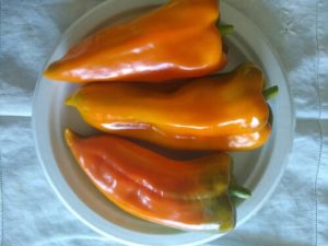 Escamillo frying pepper by Anne Warner