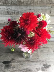 Flowers - annuals-Reds, mostly dahlias by Rosey Guest