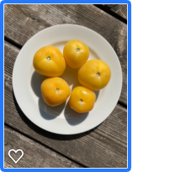 Garden Peach tomato on 7" plate by Peter Garrett