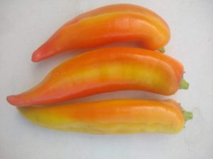 Goddess sweet pepper by Anne Warner