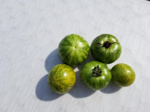 Green Zebra tomatoes by Valerie Jackson