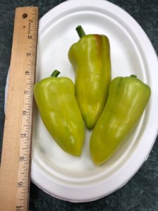 Healthy Sweet Pepper by Amy Frances LeBlanc