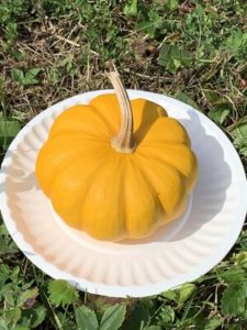 Jack Be Little Pumpkin by Monroe Elementary School