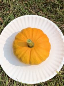 Jack Be Little Pumpkin by Morse Memorial Elementary School