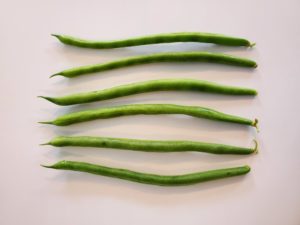 Jade Green Beans by Marsha and Michael Sloan