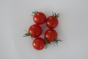 Jasper Cherry Tomato by Christia Robinson