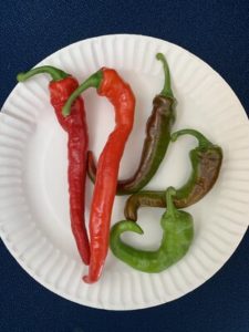 Korean Hot Peppers by Walker Elementary School