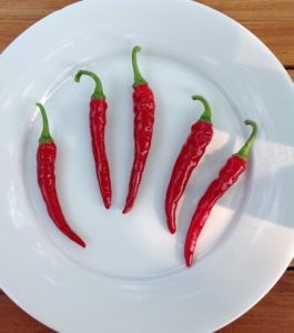 Long Red Narrow Cayenne Hot Pepper by Martha Fenn King