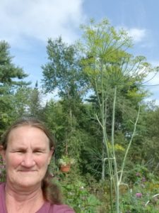 Mammoth Dill ( how tall it is next to me at 5'3") by Valerie Jackson