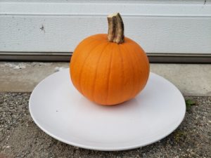 New England Pie Culinary Pumpkin by Jason Eisenhuth