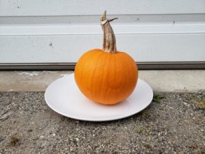 New England Pie Pumpkin by Jason Eisenhuth