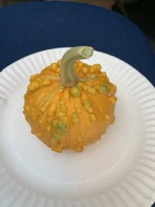 Ornamental Gourd by Walker Elementary School