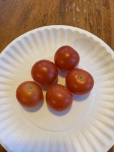 Peace Vine Cherry Tomatoes by Mount View Elementary School