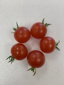 Peacevine Cherry Tomatoes by Troy Elementary School