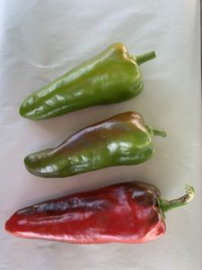 Pepper Carmen by New Maple Master Gardener