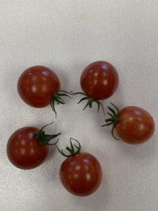 Pink Bumblebee Tomatoes by Troy Elementary School