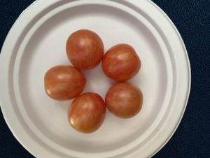 Sunrise Bumblebee Tomatoes by Walker Elementary School