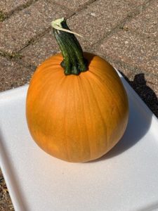 Pipsqueak Pumpkin by Troy Elementary School