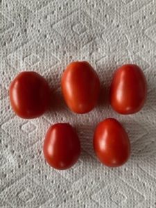 Principe Borghese Tomato by Hillary McAllister