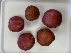 Red Gold Potatoes by Troy Elementary School