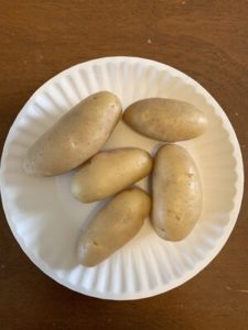 Russian Banana Fingerling Potatoes by Darcy Johnston