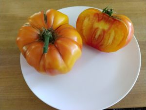 Striped German Tomato by David Frankel