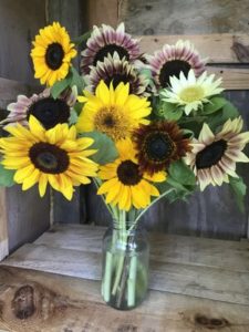 Sunflowers, mixed bouquet by Matthew Dubois