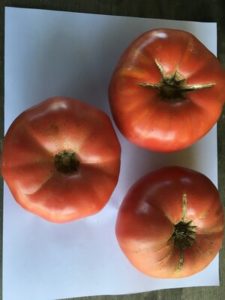 Tomato - Cracovic Yugoslav. (tomato I grew in honor of Janet Winslow) by Rosey Guest