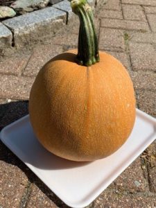 JUDGES' AWARD: Winter Luxury Pie Pumpkin by Troy Elementary School