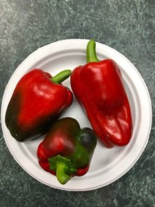 California Wonder Sweet Pepper by Amy Frances LeBlanc