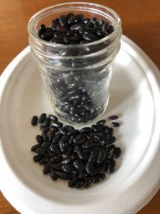 Cherokee Trail of Tears, heirloom snap or dry bean by Amy Frances LeBlanc