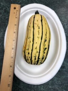 Delicata Winter Squash by Amy Frances LeBlanc