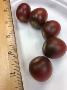 Heather Rose Grape Tomato by Amy Frances LeBlanc