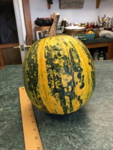 Lady Godiva, Naked Seeded Pumpkin by Amy Frances LeBlanc