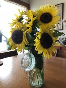 Lemon Leopold Italian Sunflowers by Amy Frances LeBlanc