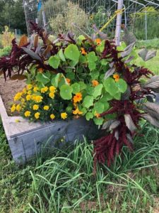 Natural Bouquet by Amy Frances LeBlanc