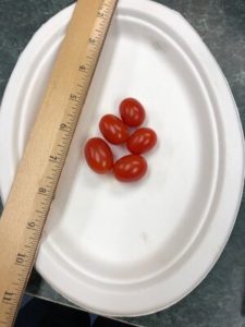 Red Pisa Date Grape Tomato by Amy Frances LeBlanc