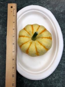 Sweet Lightning Winter Squash, hybrid by Amy Frances LeBlanc