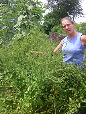 Roberta Bailey with 'Lutz' beet seed