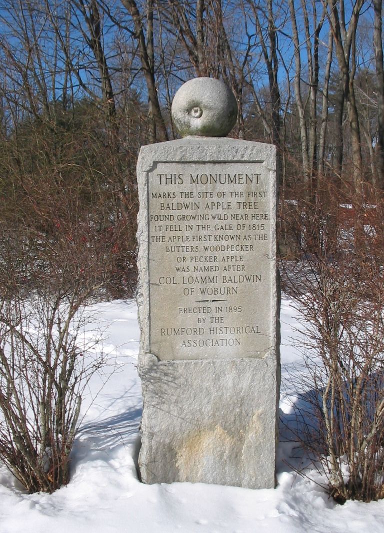 BaldwinMonument.3