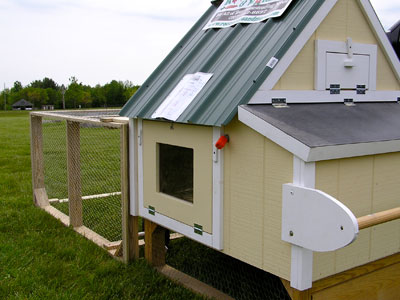 Chicken coop rear view