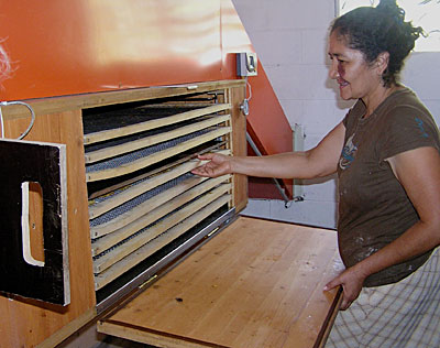 Fruit processing plant in Guarjila