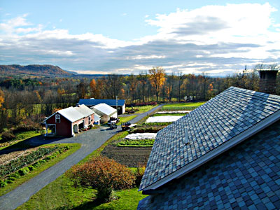 Overlooking the farm