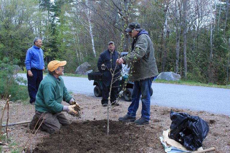 Smith+Hill+tree+planting+5.11.17