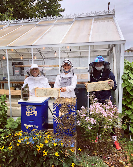 Governor Mills and Commissioner Judy Camuso of the Maine Department of Inland Fisheries and Wildlife – both the first women in Maine’s history to hold these positions – harvest honey at the Blaine House.