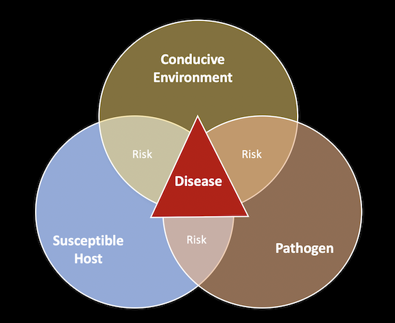 Disease triangle 