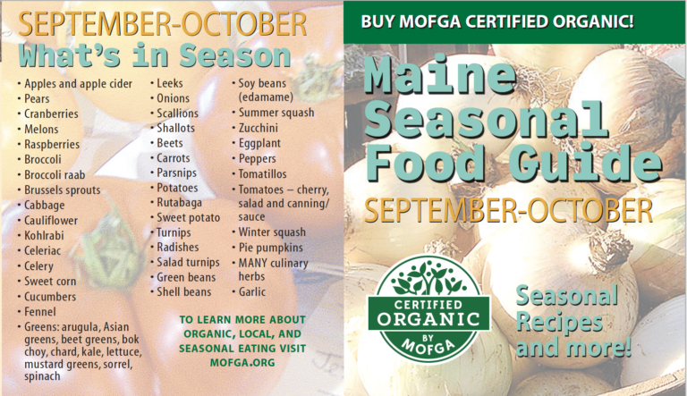 September-October Seasonal Food Guide