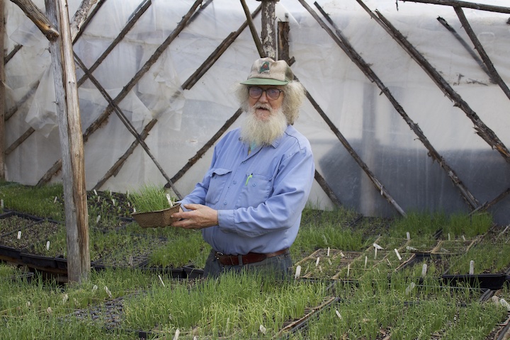 Tom Roberts of Snakeroot Organic Farm tends to his seedlings this spring. 