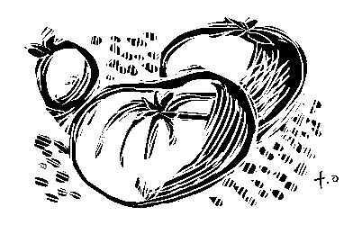 Tomato illustration