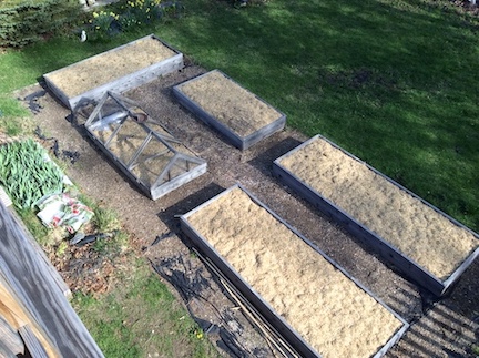 Raised bed garden with mulch
